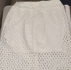 Express Knee Length Embroidered Skirt